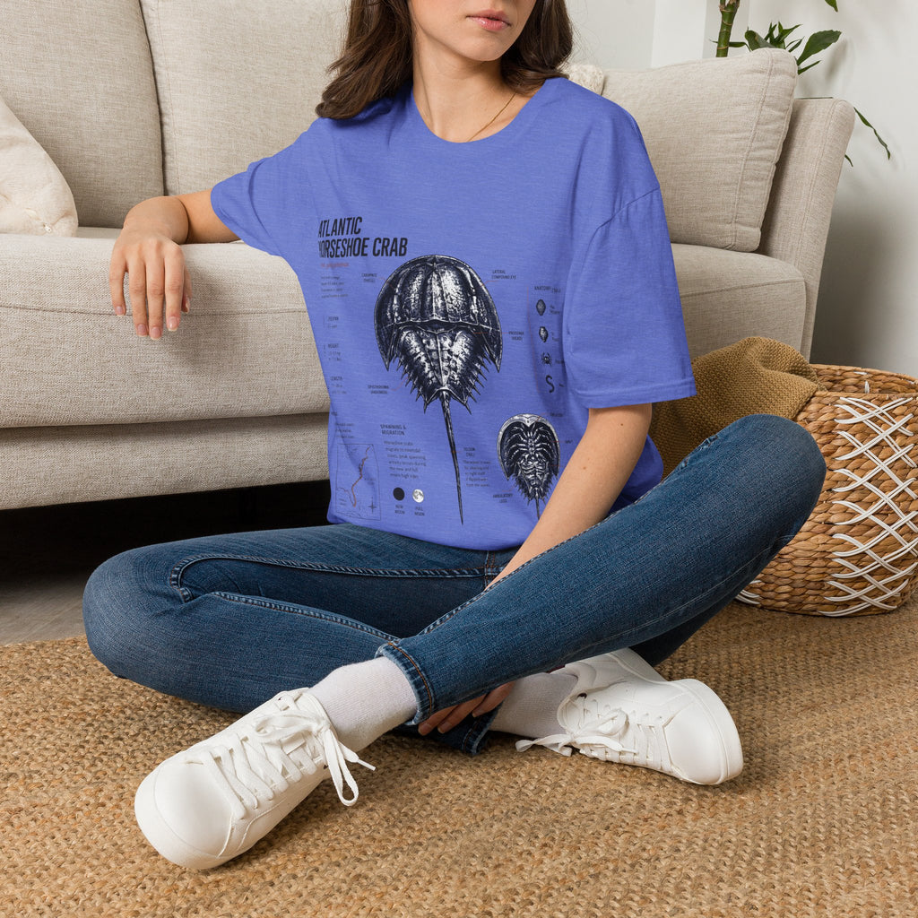Horseshoe Crab Anatomy T-Shirt — Atlantic Horseshoe Crab Illustration