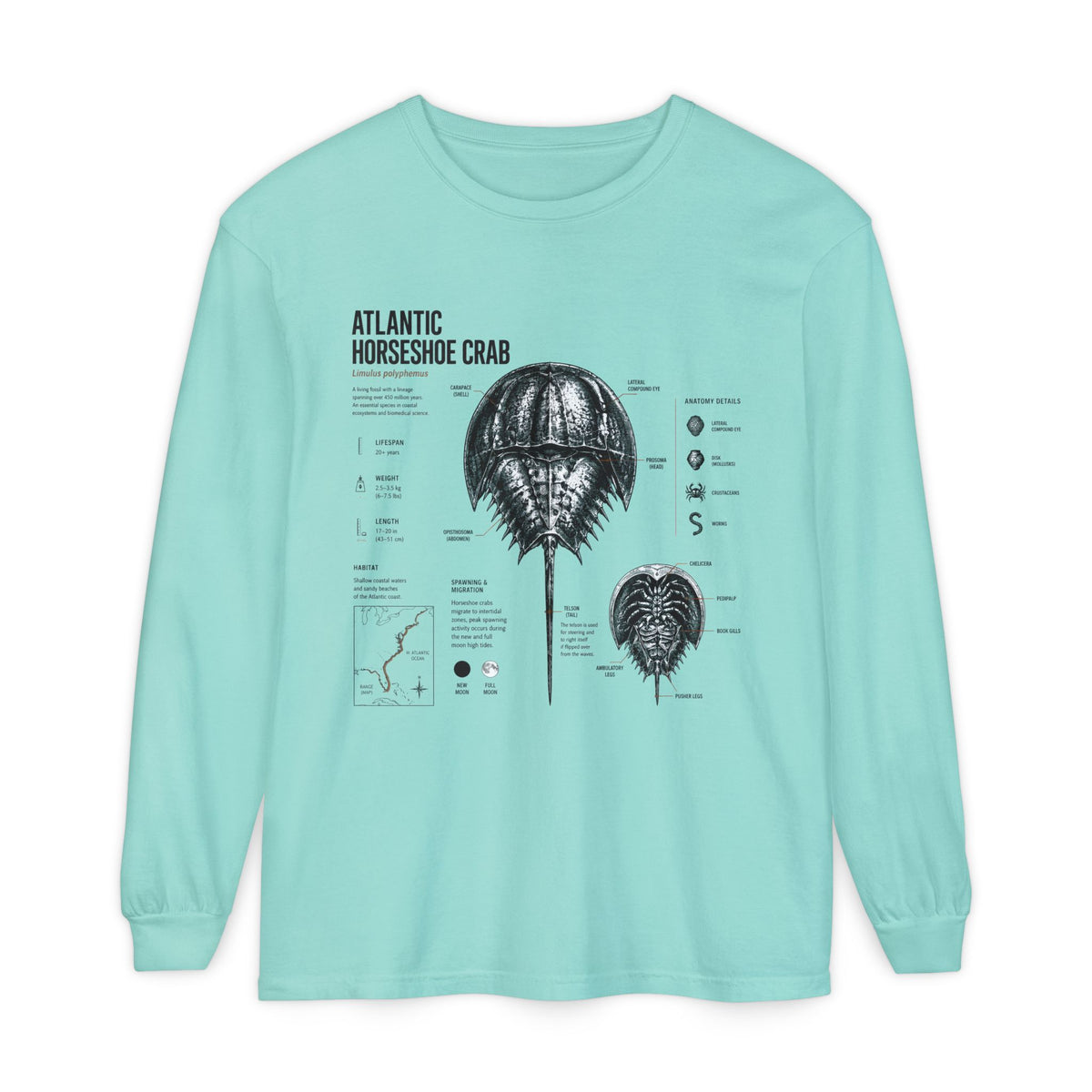 Atlantic Horseshoe Crab Anatomy Long Sleeve Tee