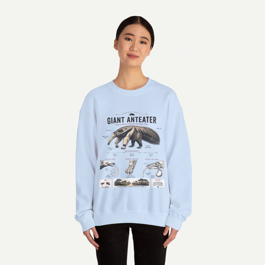 Giant Anteater Anatomy Crewneck Sweatshirt – Vintage Wildlife Anatomy Illustration