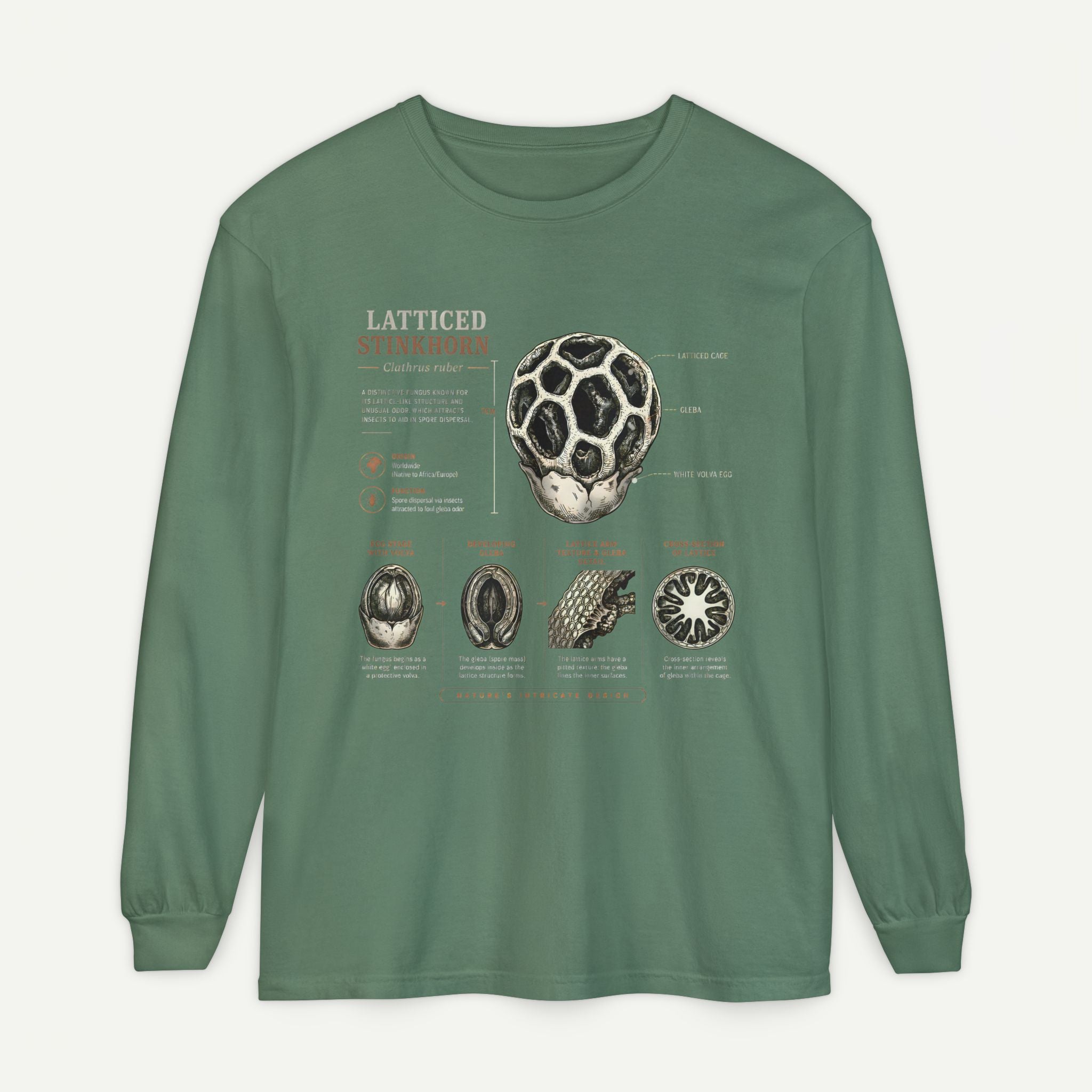 Latticed Stinkhorn Mushroom Diagram Long Sleeve Tee Secondary image