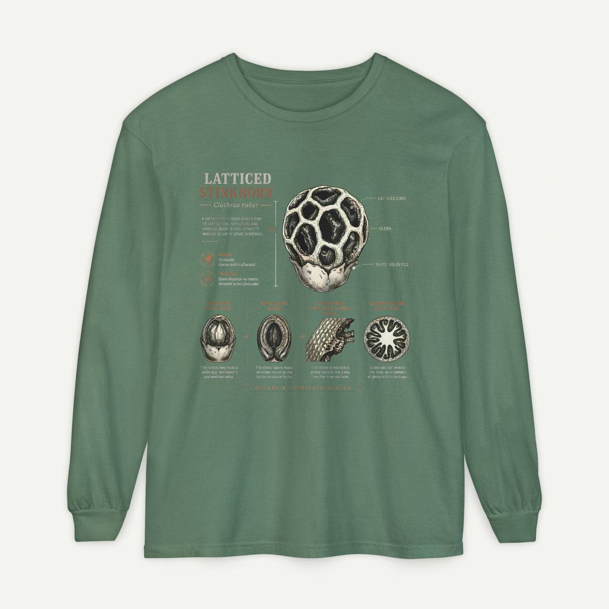 Latticed Stinkhorn Mushroom Diagram Long Sleeve Tee