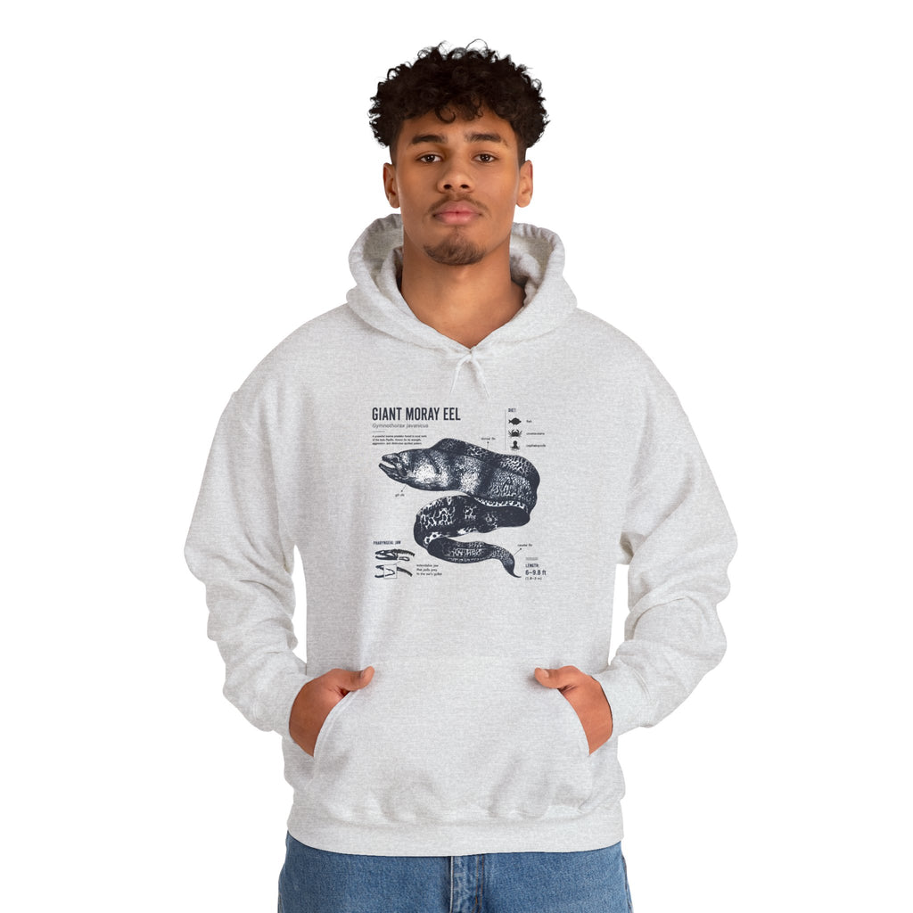 Sea Snake Diagram Hoodie - Vintage Scientific Illustration Sweatshirt