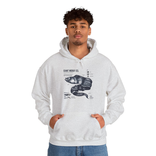 Sea Snake Diagram Hoodie - Vintage Scientific Illustration Sweatshirt