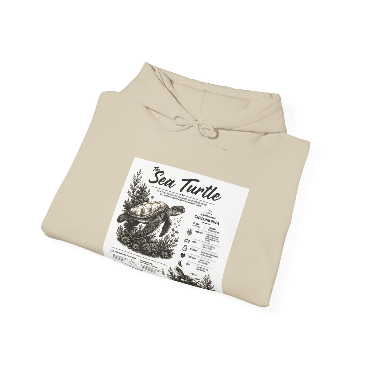Sea Turtle Hoodie – Vintage Ocean Conservation Graphic Sweatshirt