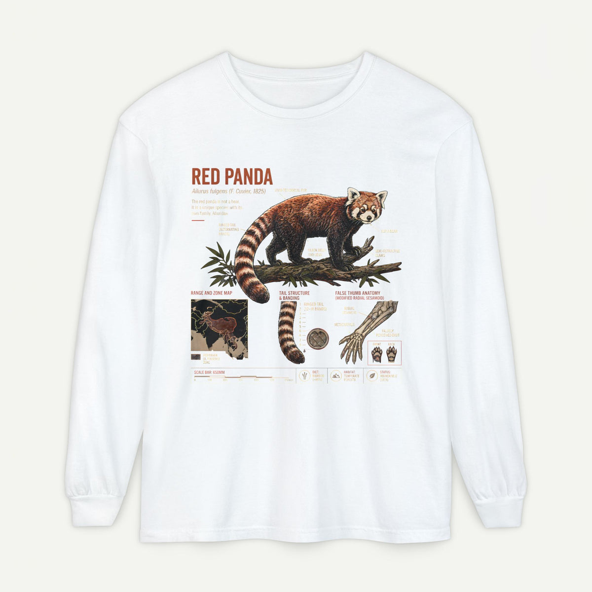 Red Panda Illustration Long Sleeve Tee — Wildlife Field Guide Graphic Main image