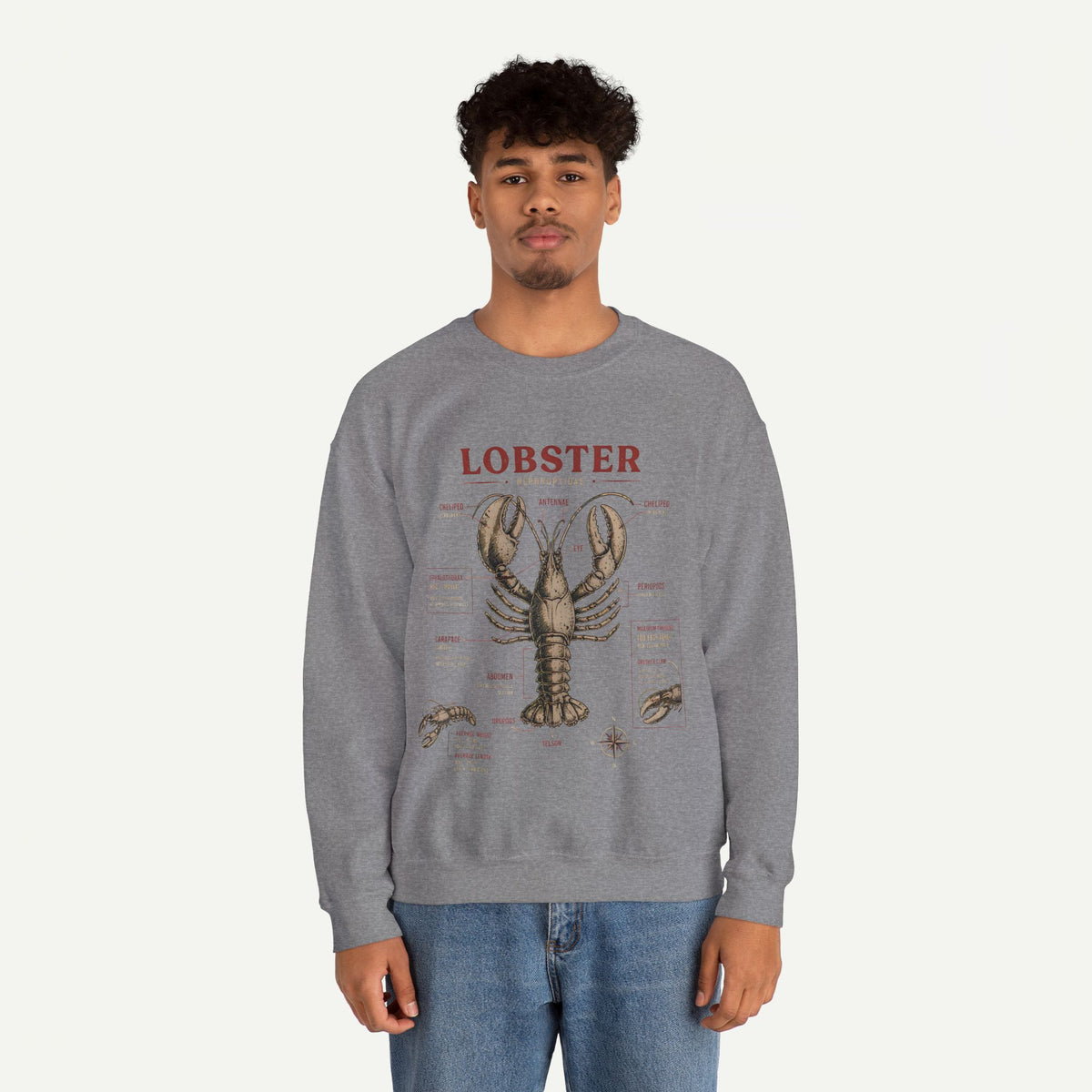 Lobster Anatomy Crewneck Sweatshirt