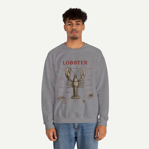 Lobster Anatomy Crewneck Sweatshirt