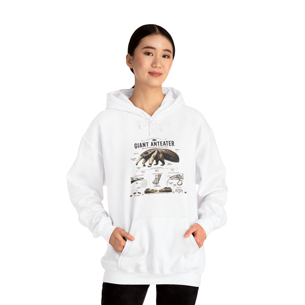 Giant Anteater Anatomy Hoodie — Illustrated Wildlife Diagram Sweatshirt