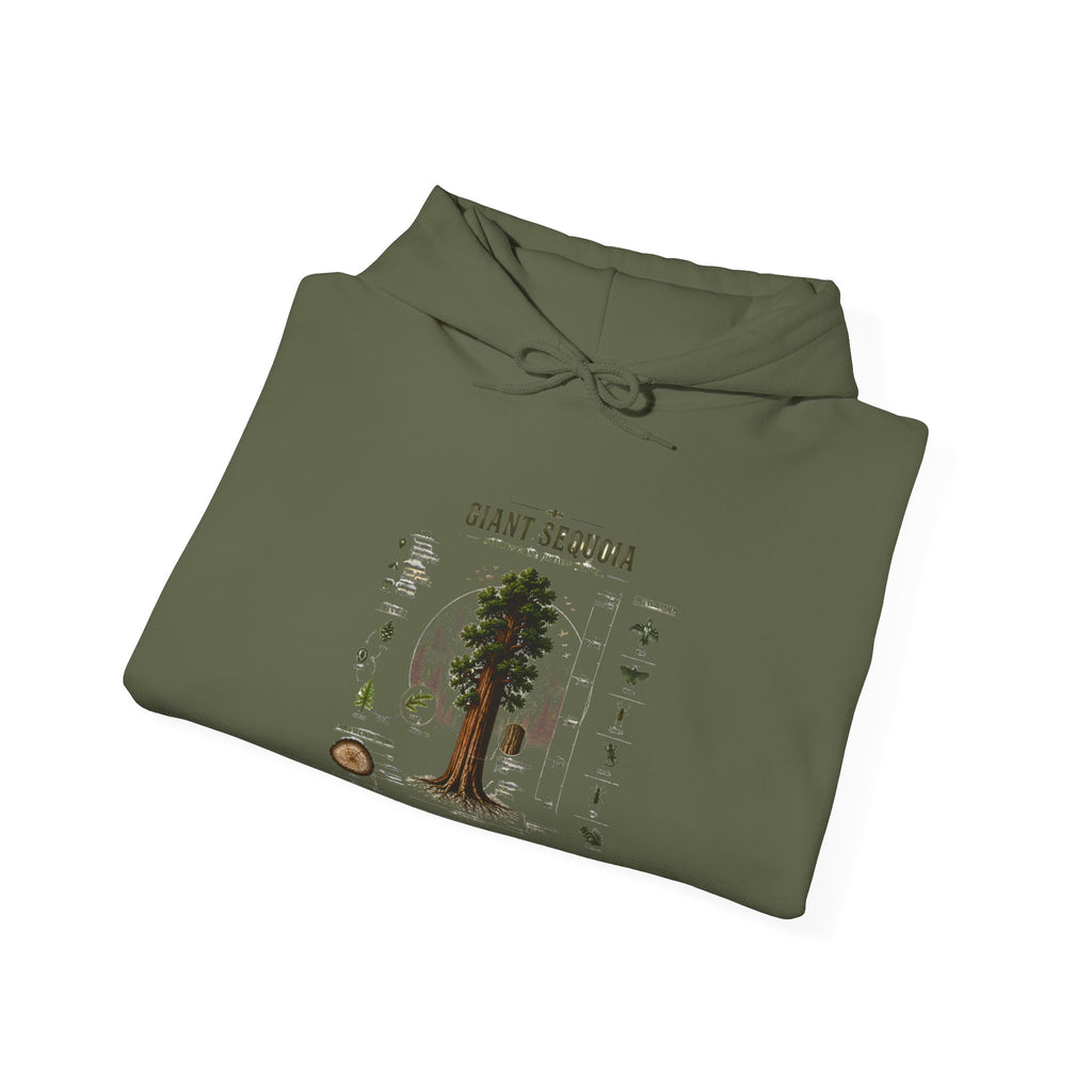 Giant Sequoia Botanical Hoodie — Vintage Tree Illustration & Facts