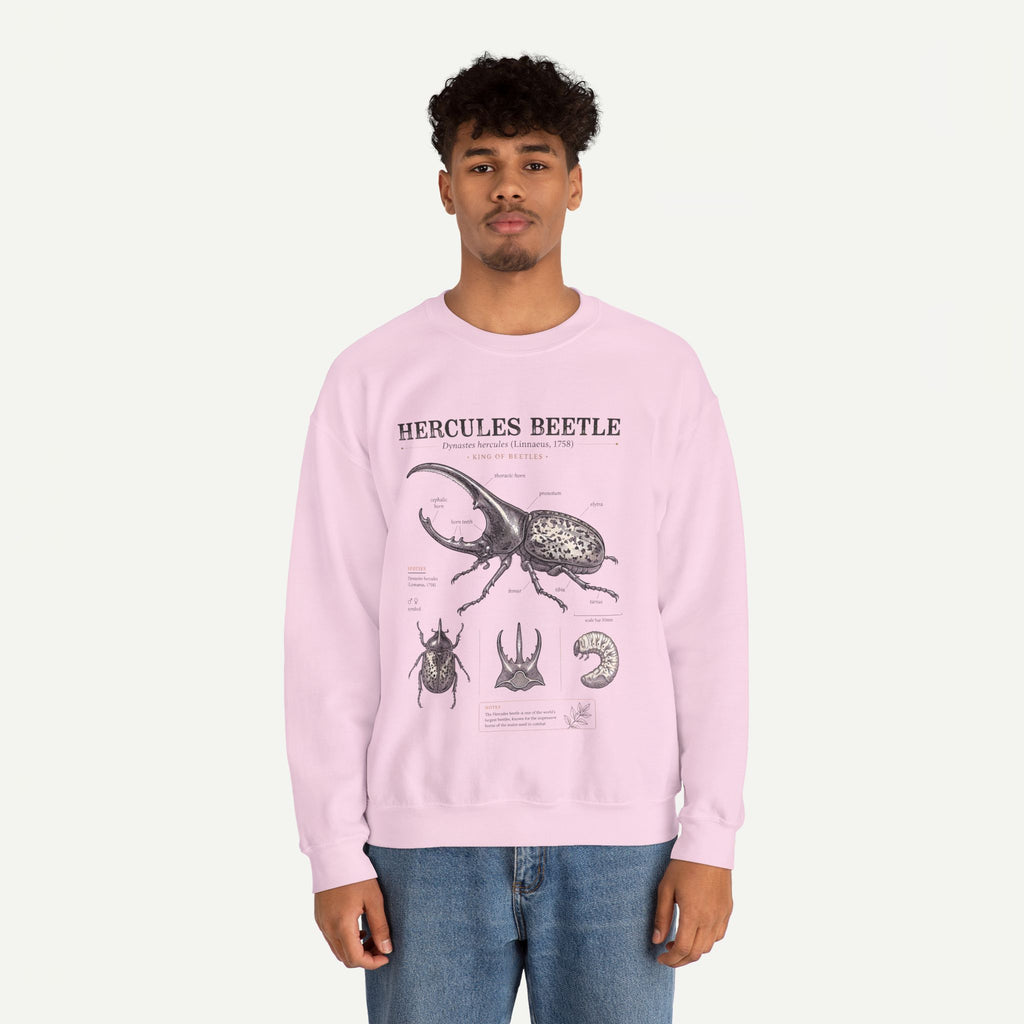 Hercules Beetle Anatomy  Crewneck Sweatshirt – Vintage Entomology Graphic