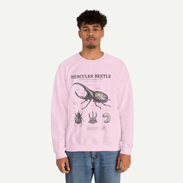 Hercules Beetle Anatomy  Crewneck Sweatshirt – Vintage Entomology Graphic