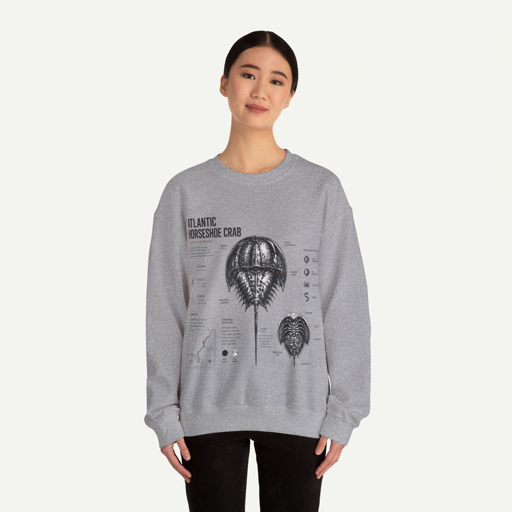 Horseshoe Crab Anatomy Sweatshirt — Atlantic Horseshoe Crab Illustration Crewneck