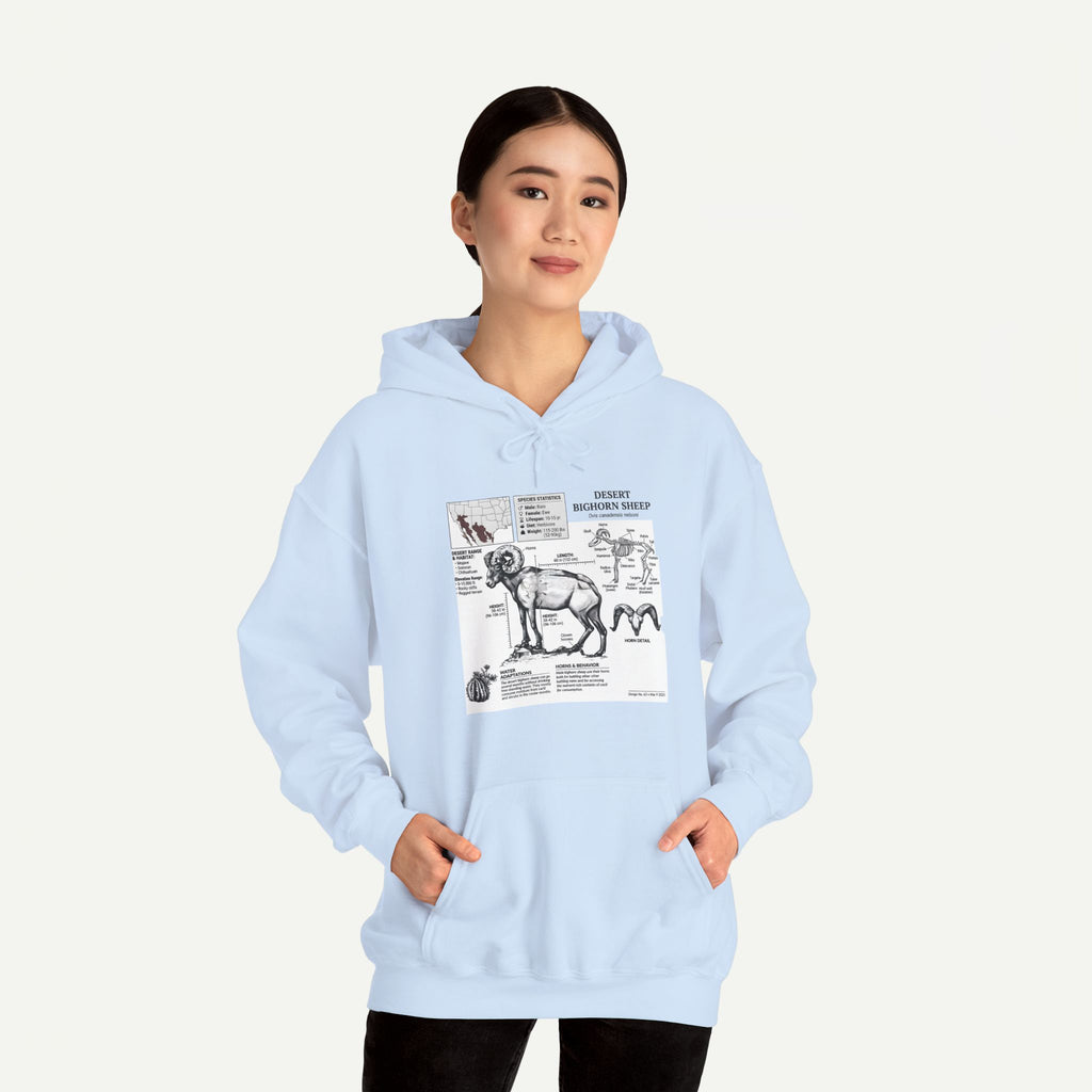 Dog Anatomy Hoodie – Vintage Canine Diagram Sweatshirt