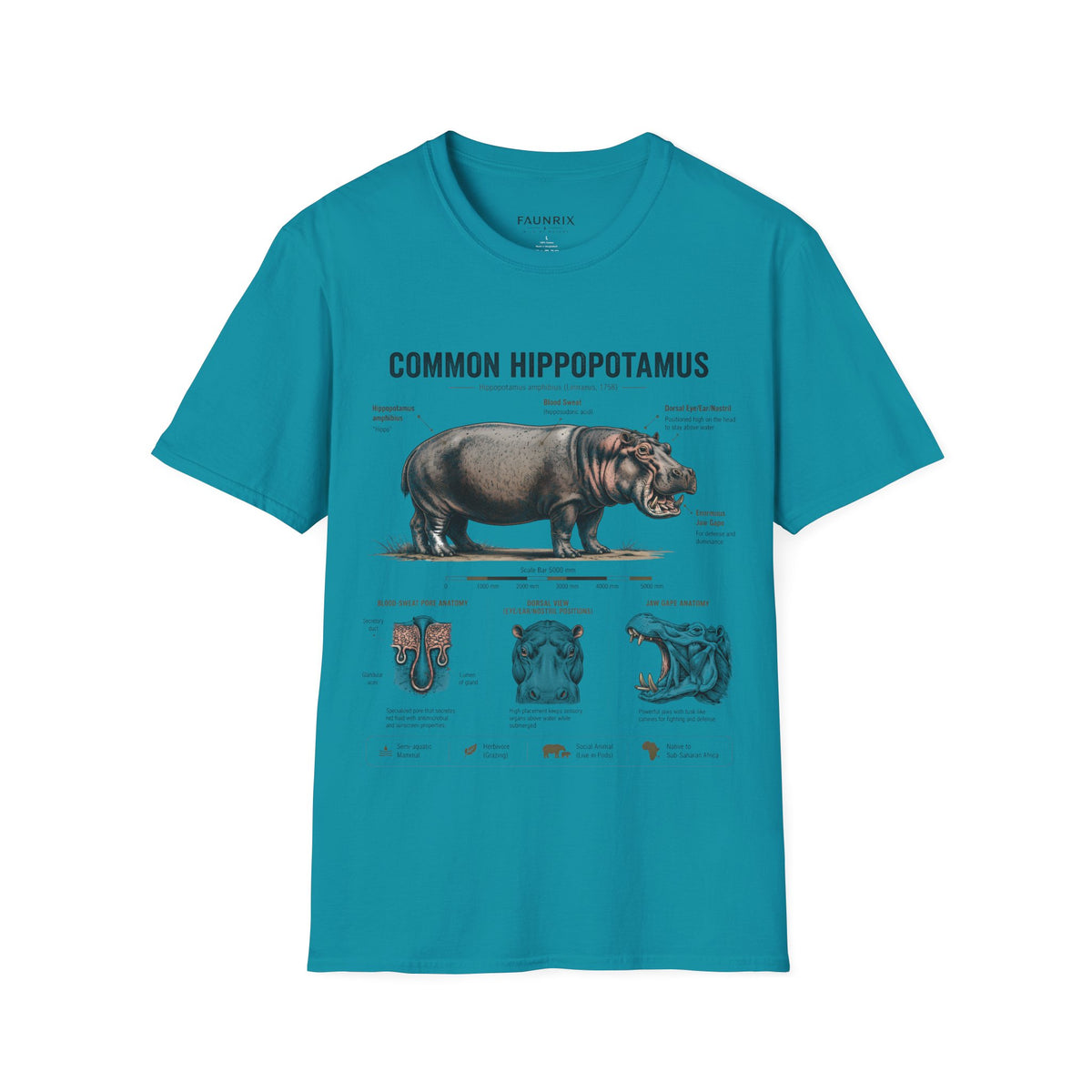 Common Hippopotamus Anatomy T-Shirt — Vintage Natural History Hippo Tee