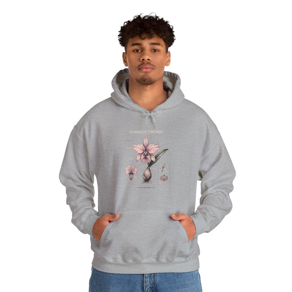 Orchid Botanical Hoodie — Cattleya Orchid Illustration Floral Pullover