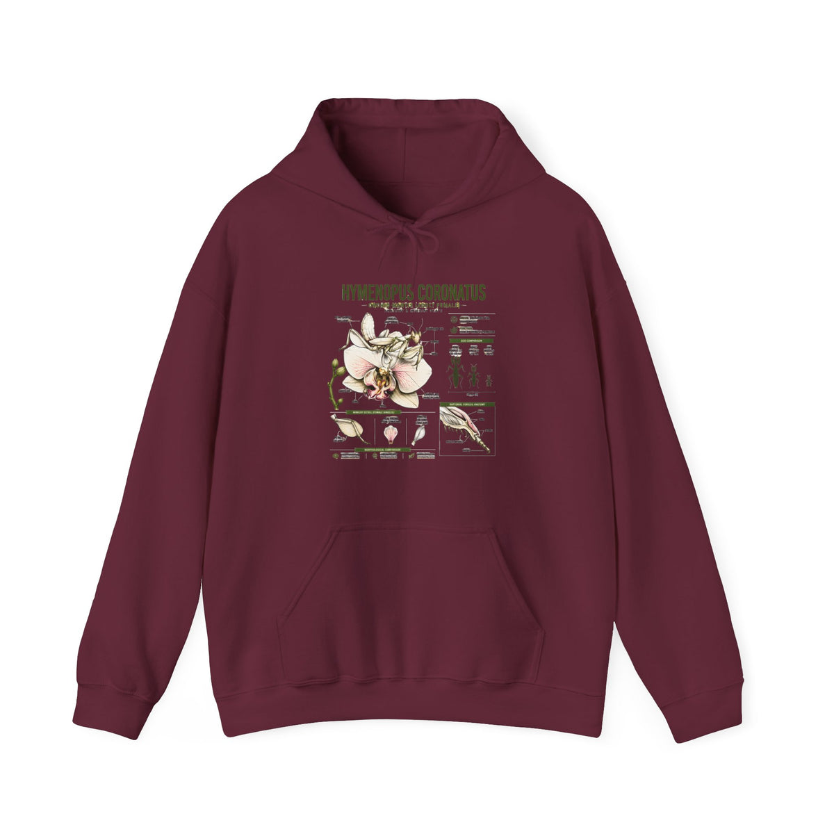 Botanical Hooded Sweatshirt — Hymenopus Coronatus Praying Mantis Illustration