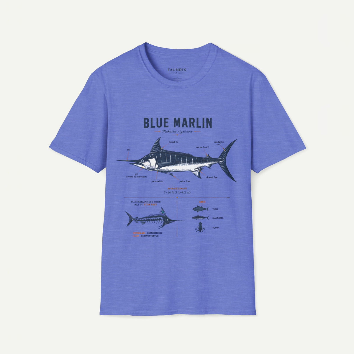 Blue Marlin Anatomy T-Shirt — Vintage Marine Fish Illustration Tee Main image