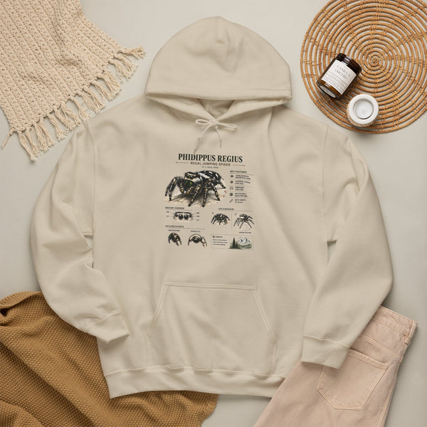 Tarantula Species Hoodie — Phidippus Regius Educational Spider Sweatshirt