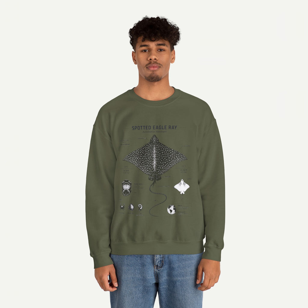 Spotted Eagle Ray Anatomy Sweatshirt – Marine Biology Illustration
