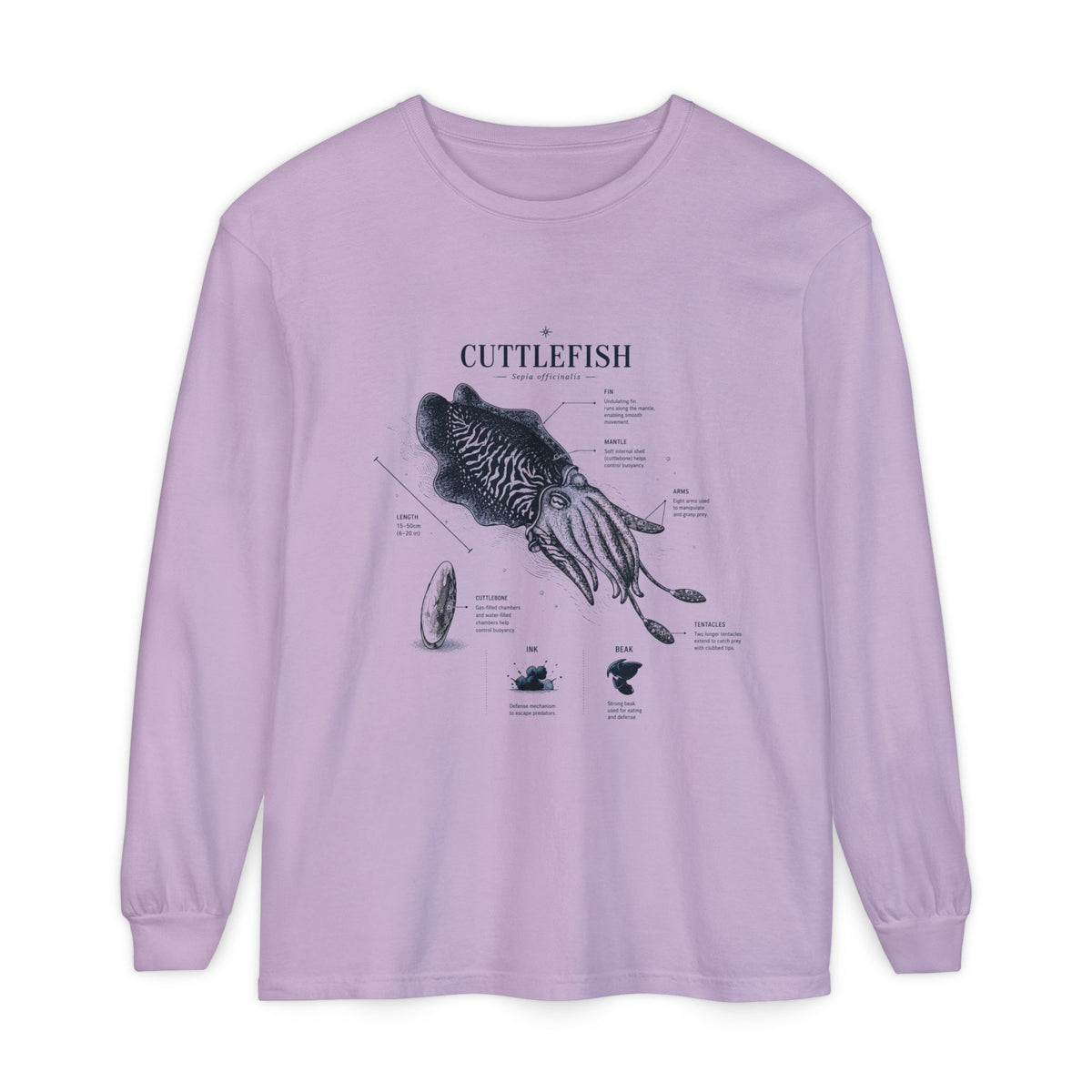 Unisex Garment-dyed Long Sleeve T-Shirt Main image