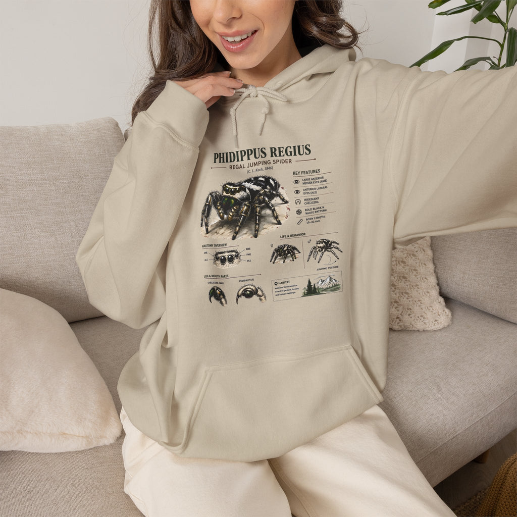 Tarantula Species Hoodie — Phidippus Regius Educational Spider Sweatshirt