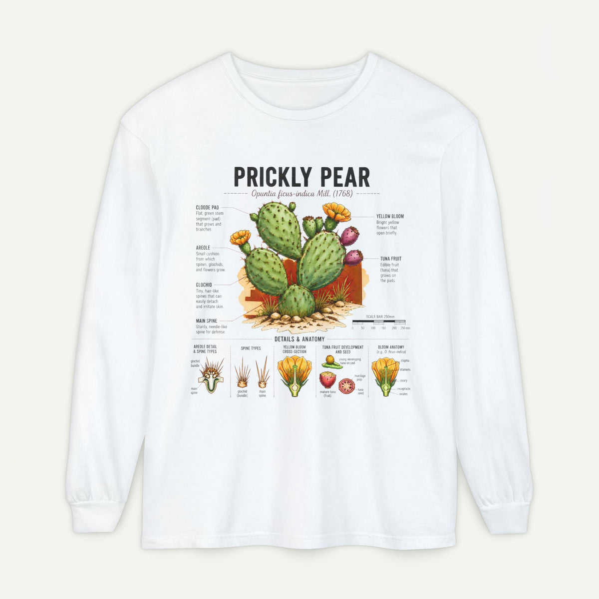 Prickly Pear Botanical Long Sleeve T-Shirt — Cactus Illustration & Plant Facts Main image