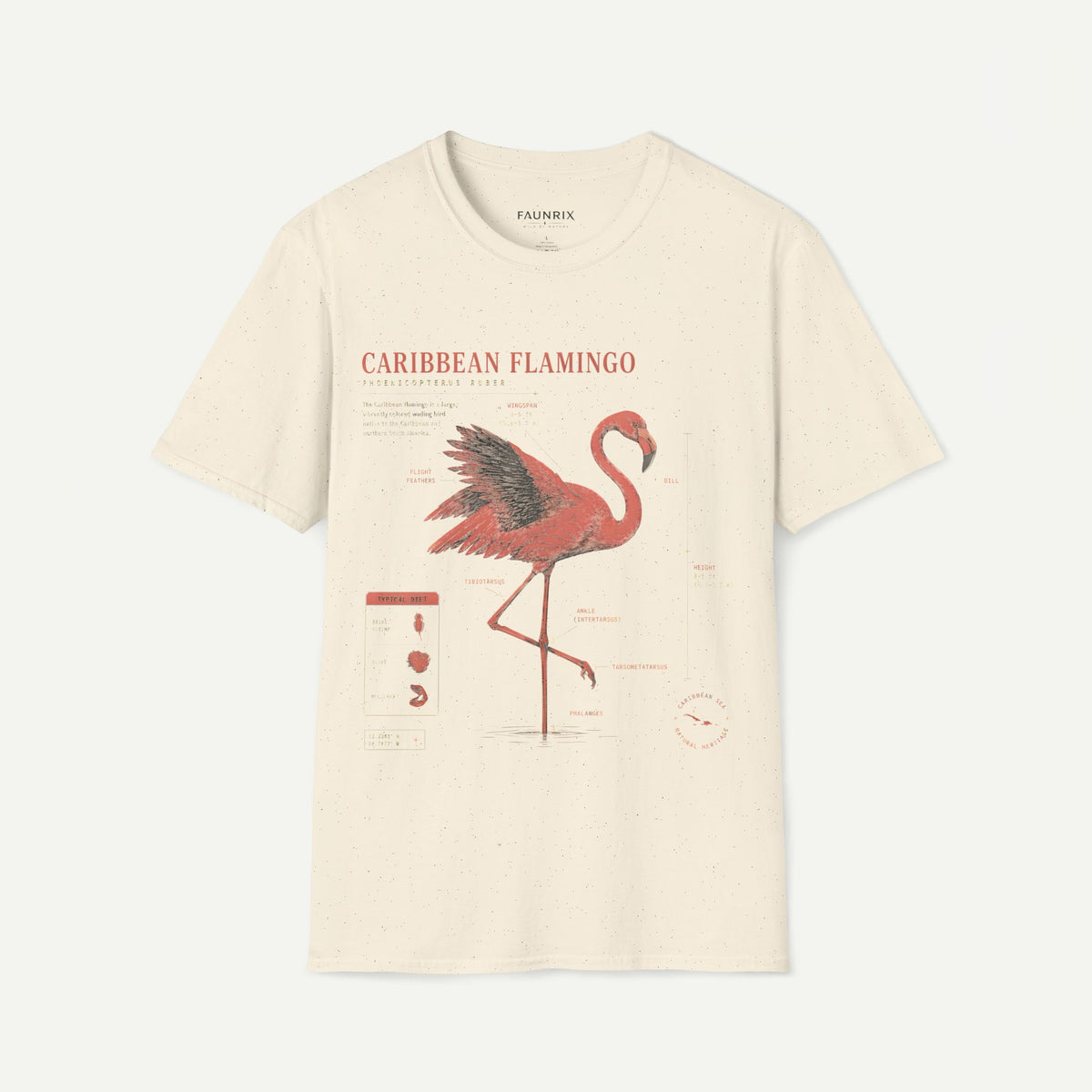 Flamingo Anatomy T-shirt — "Caribbean Flamingo" Vintage Tropical Tee