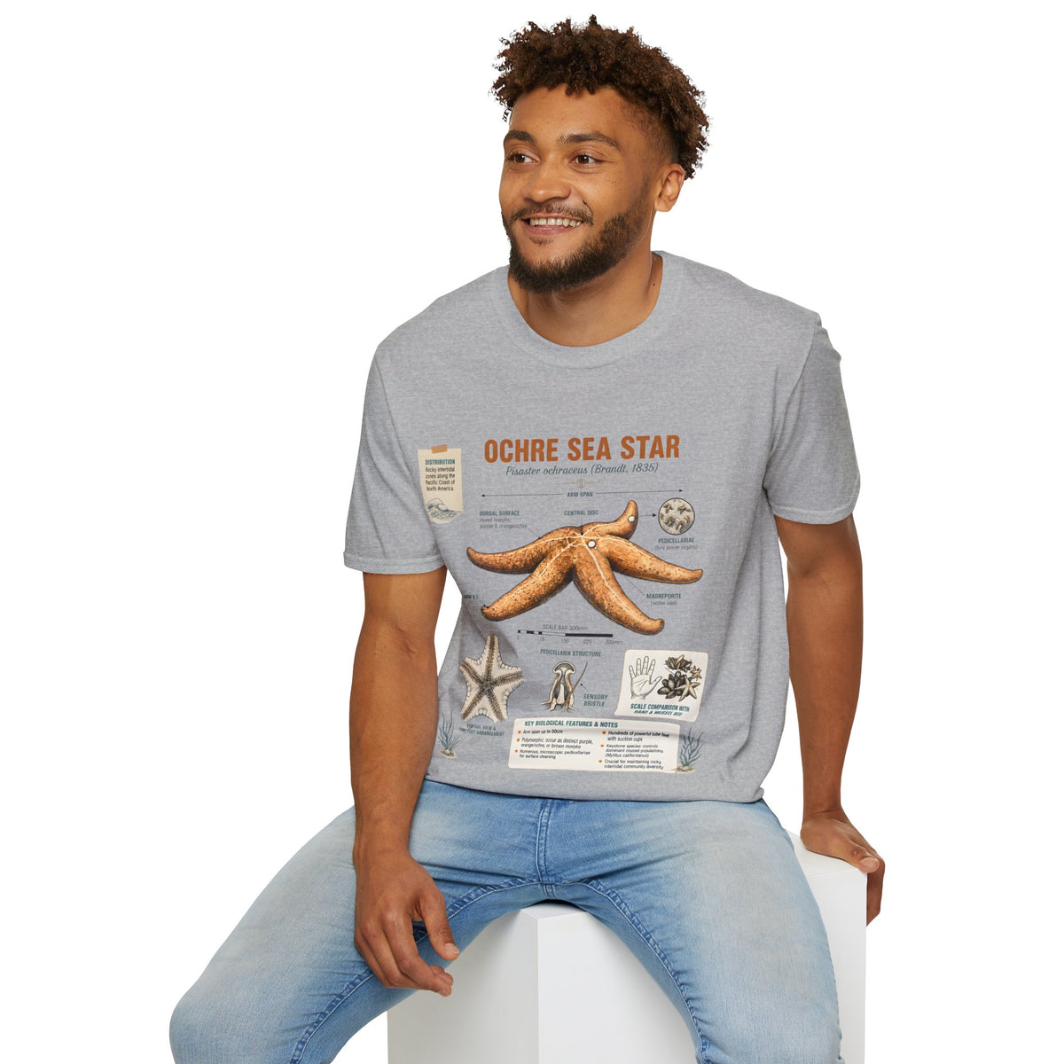 Sea Star Anatomy T-Shirt — Ochre Starfish Illustration Tee