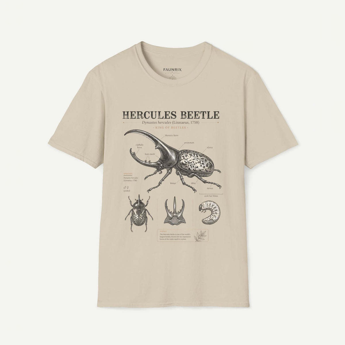 Hercules Beetle Anatomy T-Shirt — Vintage Entomology Graphic Tee