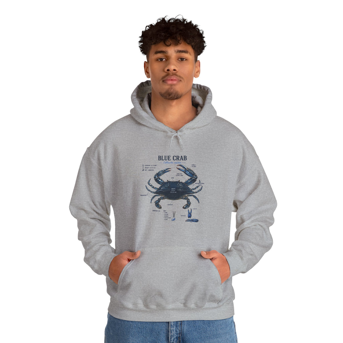 Blue Crab Anatomy Hoodie — Nautical Marine Biology Graphic Sweatshirt