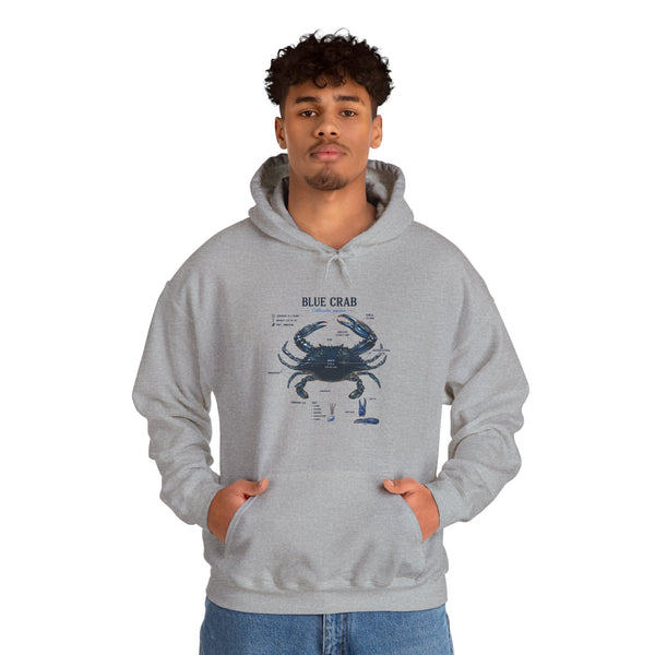 Blue Crab Anatomy Hoodie — Nautical Marine Biology Graphic Sweatshirt