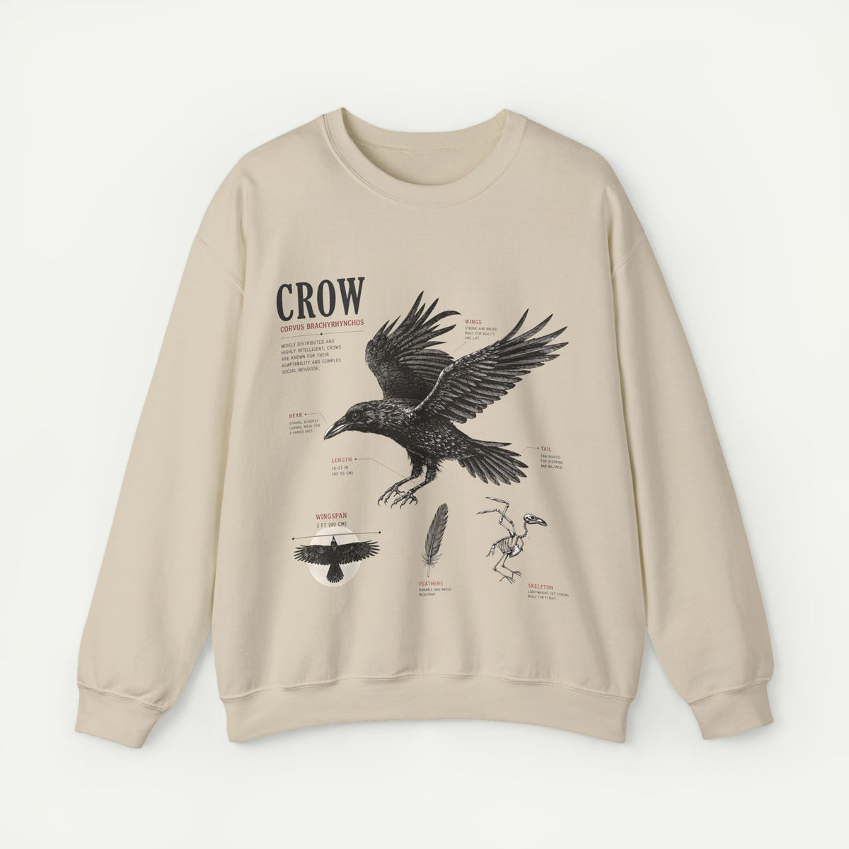 Crow Anatomy Sweatshirt