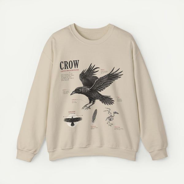 Crow Anatomy Sweatshirt