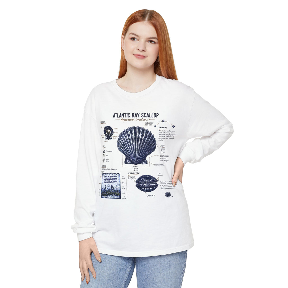Atlantic Bay Scallop Shell Long Sleeve Tee - Scientific Shell Diagram