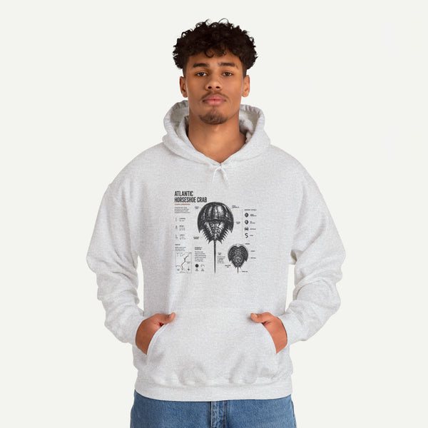 Horseshoe Crab Anatomy Hoodies