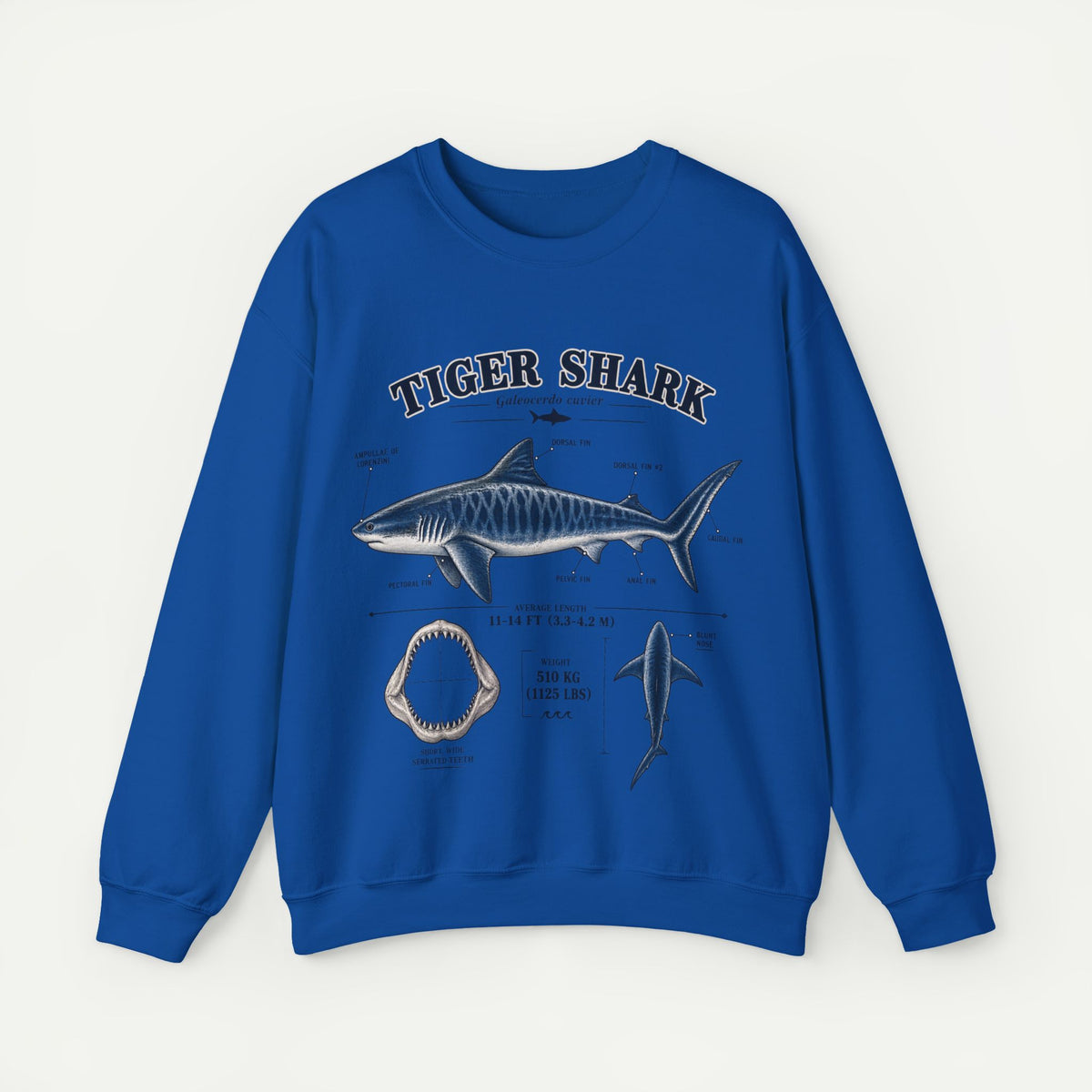 Tiger Shark Anatomy Sweatshirt