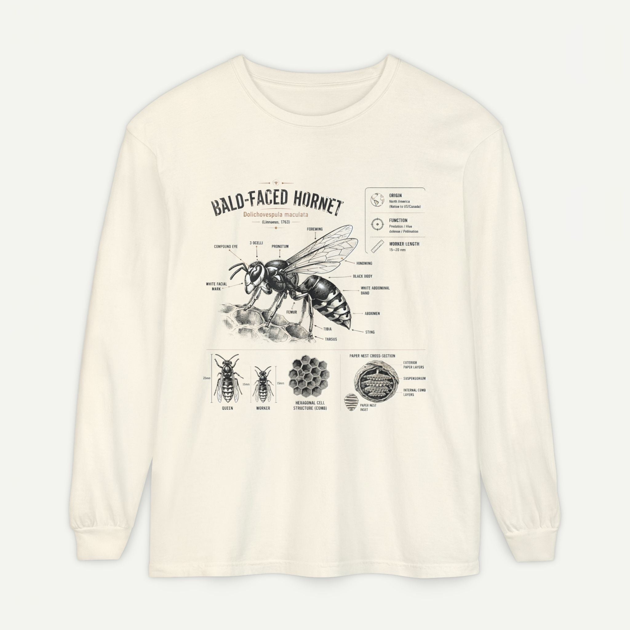 Bald-Faced Hornet Anatomy Long Sleeve Tee Secondary image
