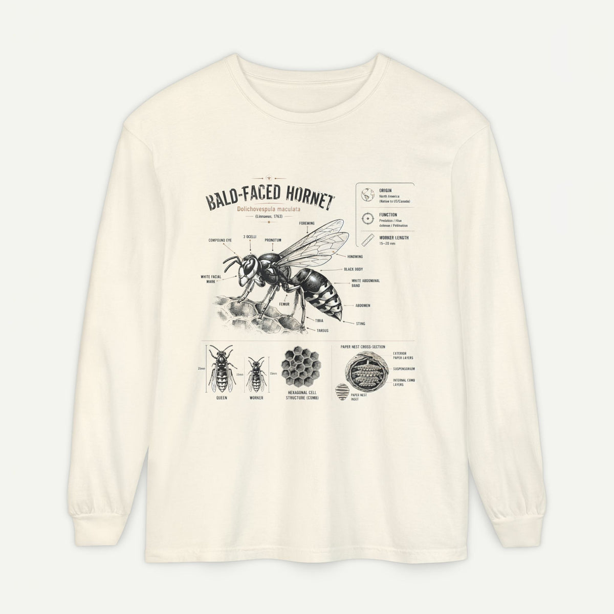 Bald-Faced Hornet Anatomy Long Sleeve Tee