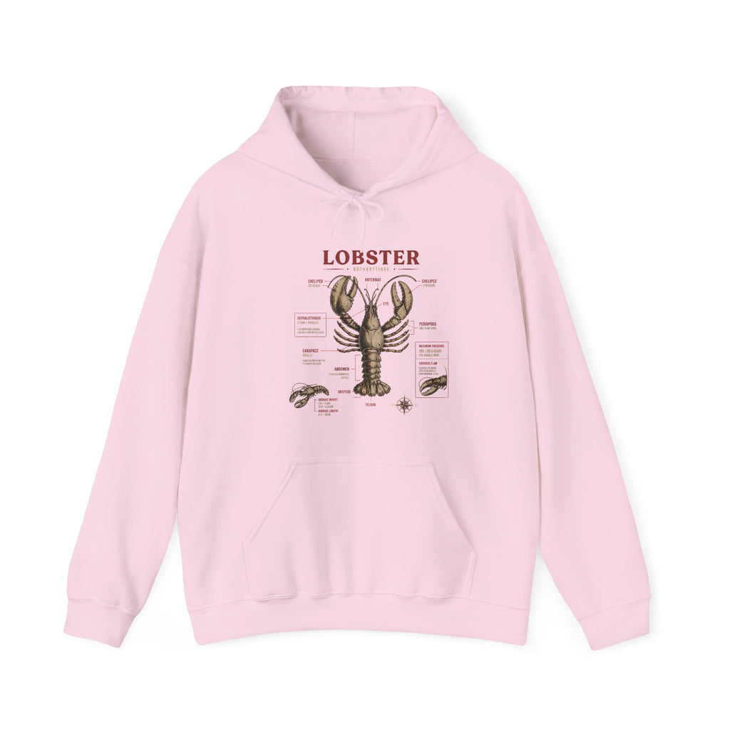 Lobster Anatomy Hoodie – Nautical Seafood Illustration Pullover