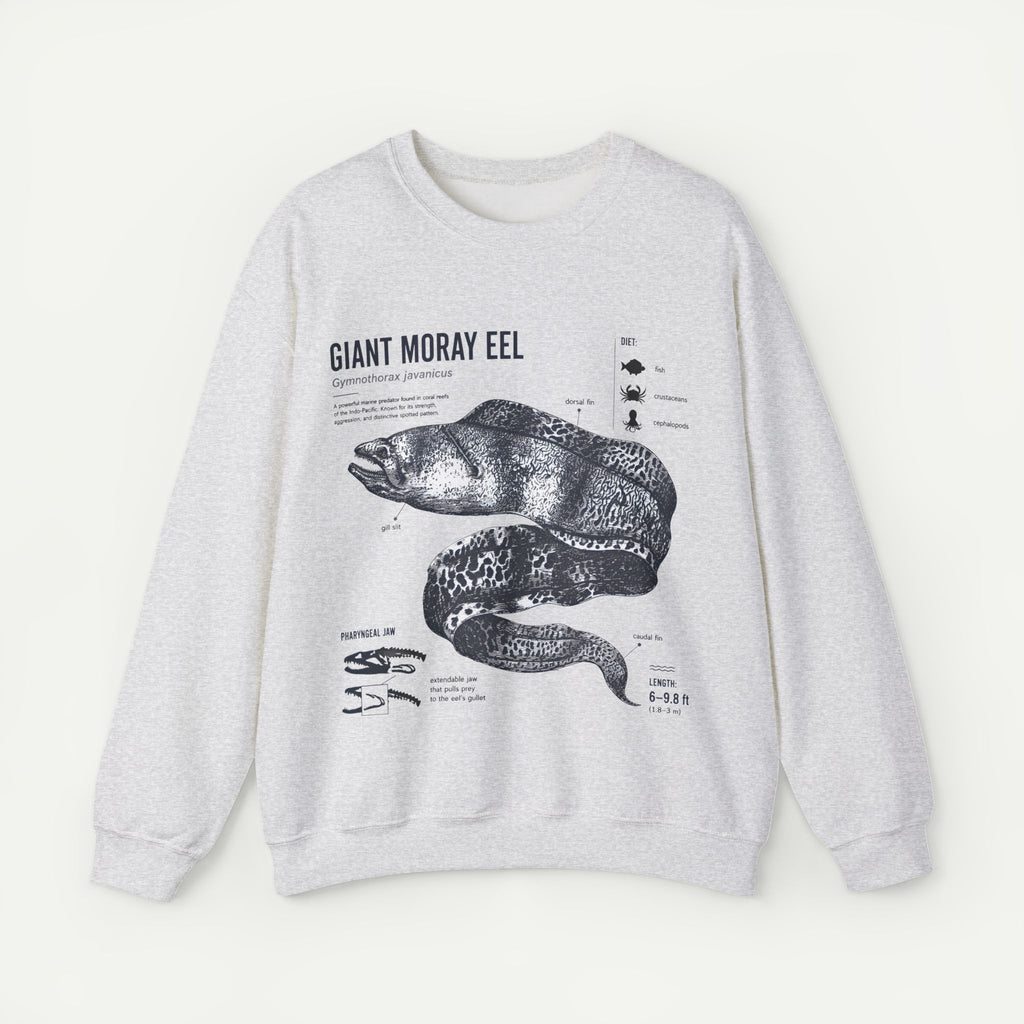 Giant Moray Eel Anatomy Sweatshirt