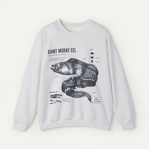Giant Moray Eel Anatomy Sweatshirt