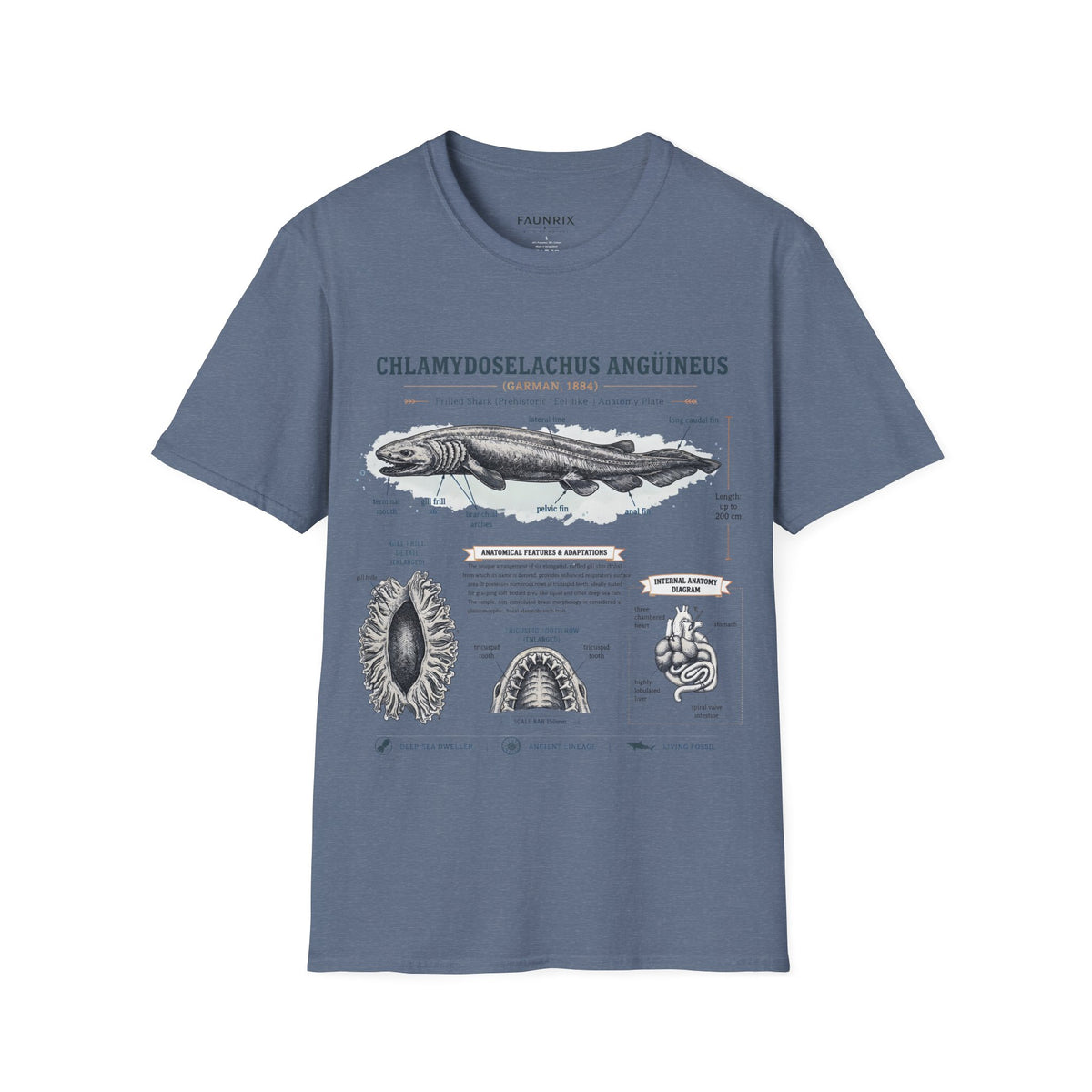 Shark Anatomy Graphic Tee — Chlamydoselachus Anguineus Educational T-Shirt