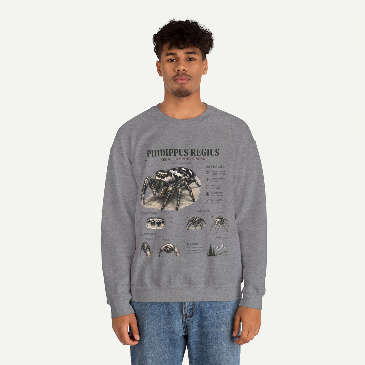 Spider Anatomy Crewneck Sweatshirt — Phidippus Regius Jumping Spider Illustration