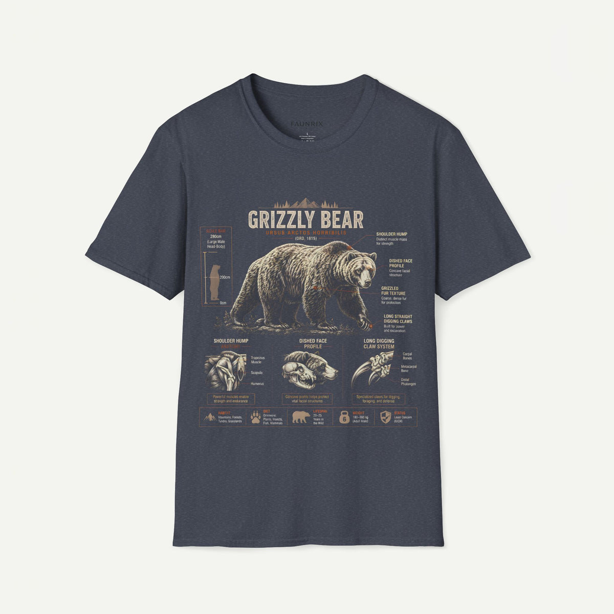 Grizzly Bear Anatomy Vintage Graphic T-Shirt — Wildlife Animal Tee