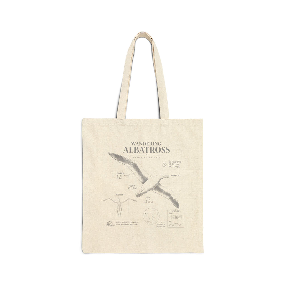 Albatross Anatomy Tote Bag — Vintage Seabird Canvas Beach Grocery Tote Main image