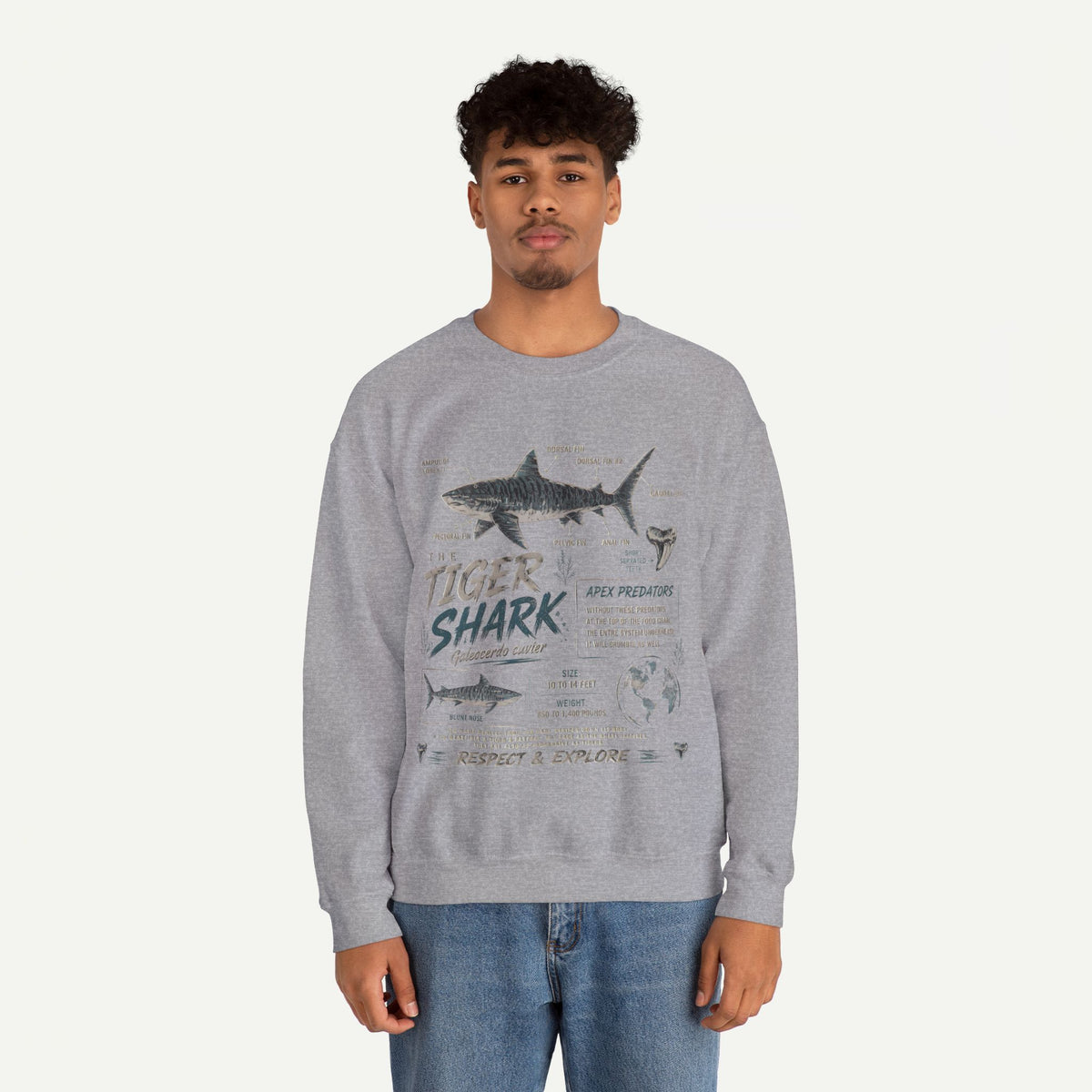 Tiger Shark Anatomy Sweatshirt — Marine Biology Graphic Crewneck