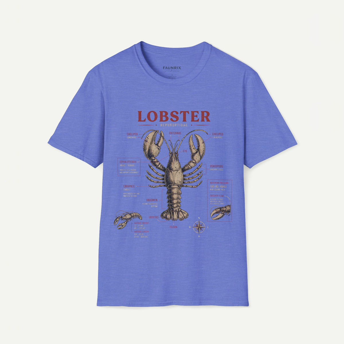 Lobster Anatomy T-Shirt — Vintage Nautical Seafood Diagram Tee