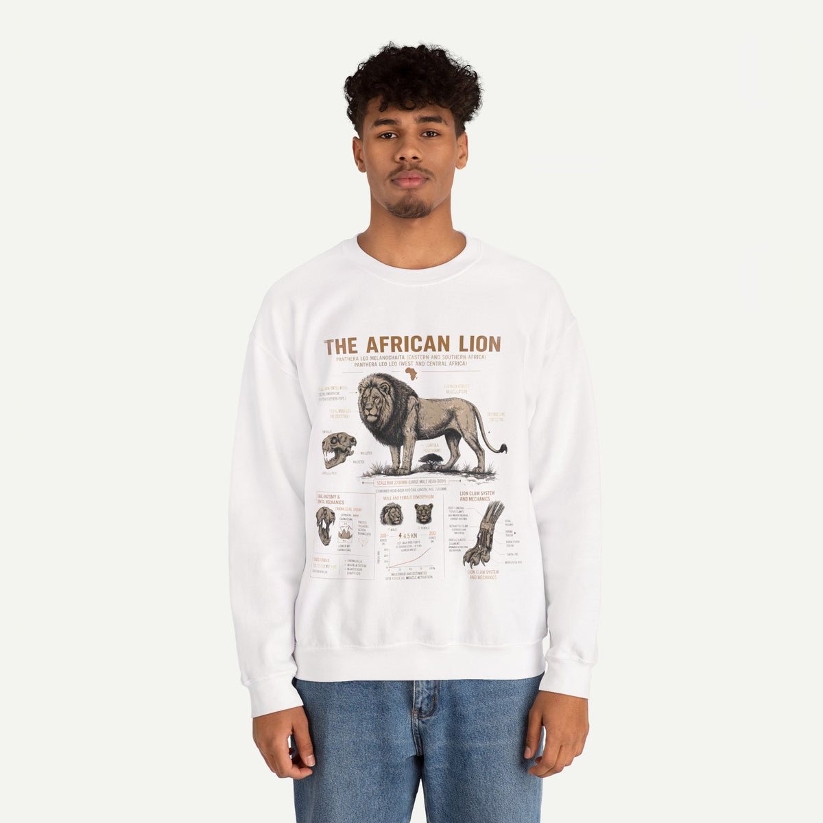 African Lion Anatomy Crewneck Sweatshirt