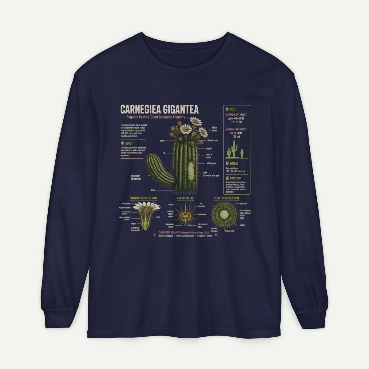 Saguaro Anatomy Long Sleeve Tee — Carnegiea Gigantea Cactus Diagram