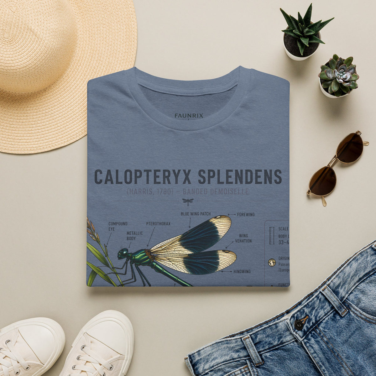 Calopteryx Splendens Anatomy T-Shirt